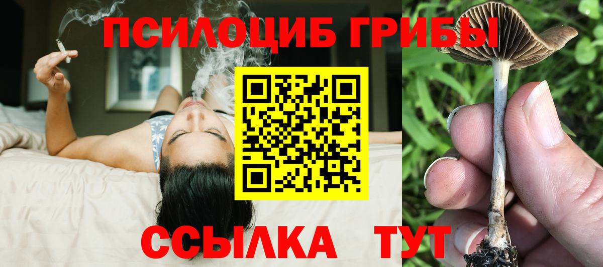Псилоцибиновые грибы мицелий Альметьевск